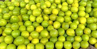 Bhavyashri News | Nimbu Achanak Itana Mahanga Kyun Ho Gaya ? निम्बू का भाव आसमान छू गया , गर्मी के मौसम...